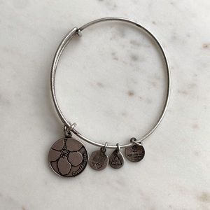 Alex and Ani Silver Bangle Bracelet